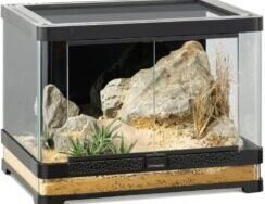Équipements Recommandés par NAC Expert Terrarium pour gecko leopard en Verre 60x45x45