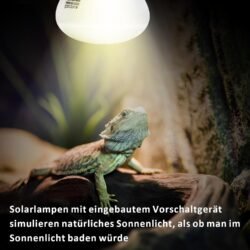 Équipements Recommandés par NAC Expert Exo Terra est une ampoule à vapeur de mercure pour reptiles