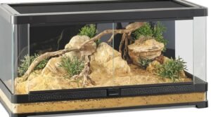 Terrarium Parfait pour Gecko Léopard : Guide d'Installation Complet (Taille, Chauffage & Aménagement) terrarium-gecko-leopard-amenagement-ideal.jpg